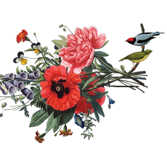 Hope+Flower_Flower Only